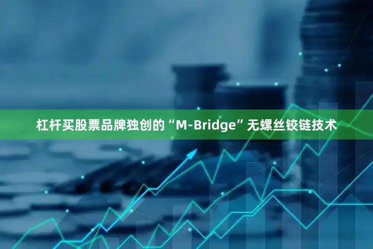 杠杆买股票品牌独创的“M-Bridge”无螺丝铰链技术
